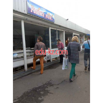 Свежая и мороженая рыба