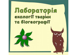 Корсак